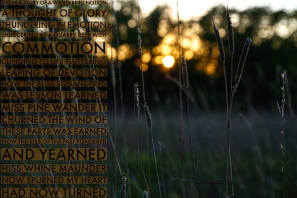 The Wandering Notion